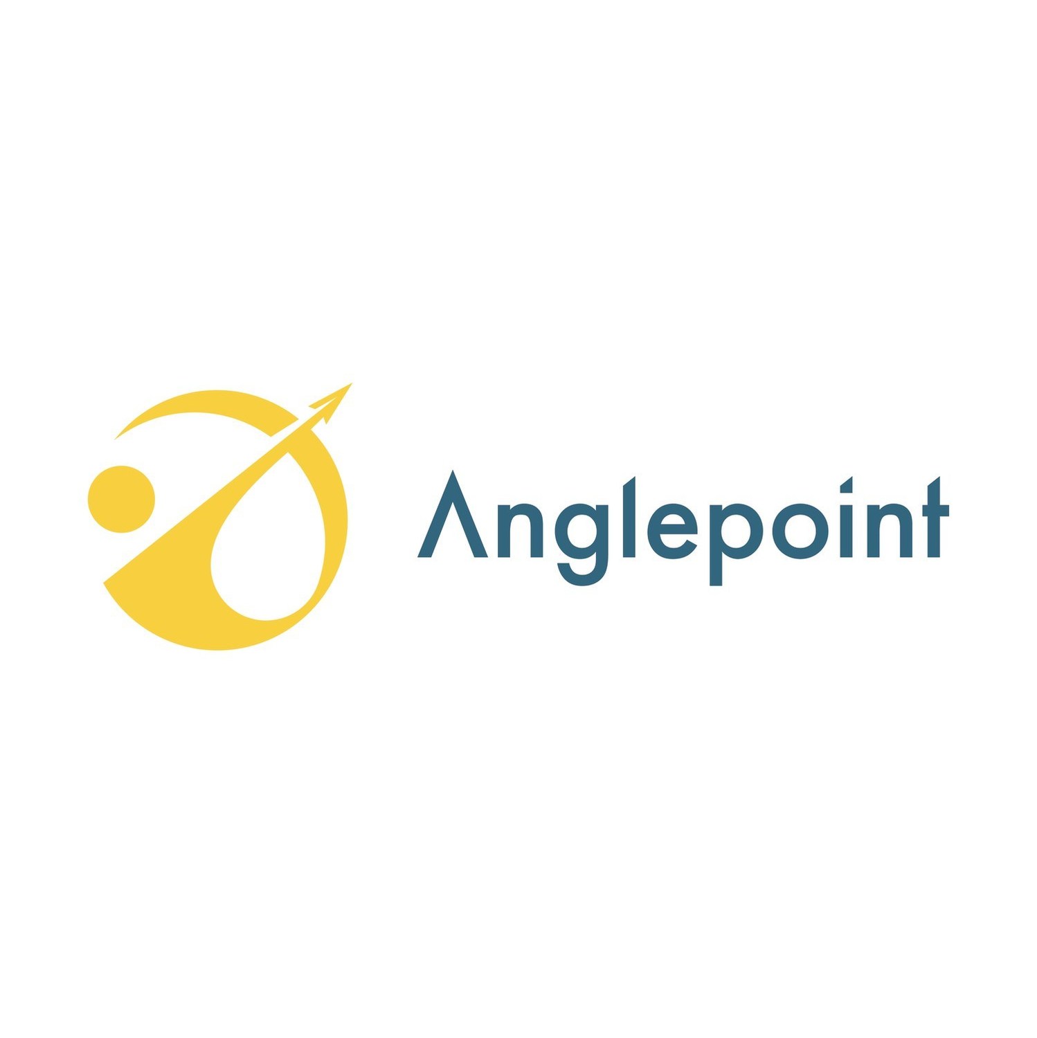 Logo of Anglepoint Software Asset Management Managed Services
