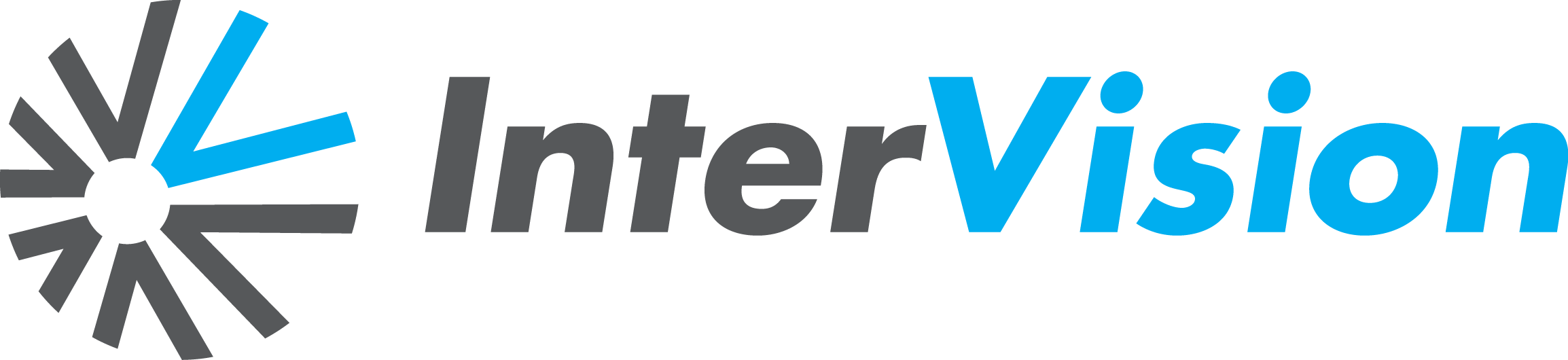 Logo of VMware Hybrid Cloud Hosting
