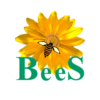 Logo of BETPlus