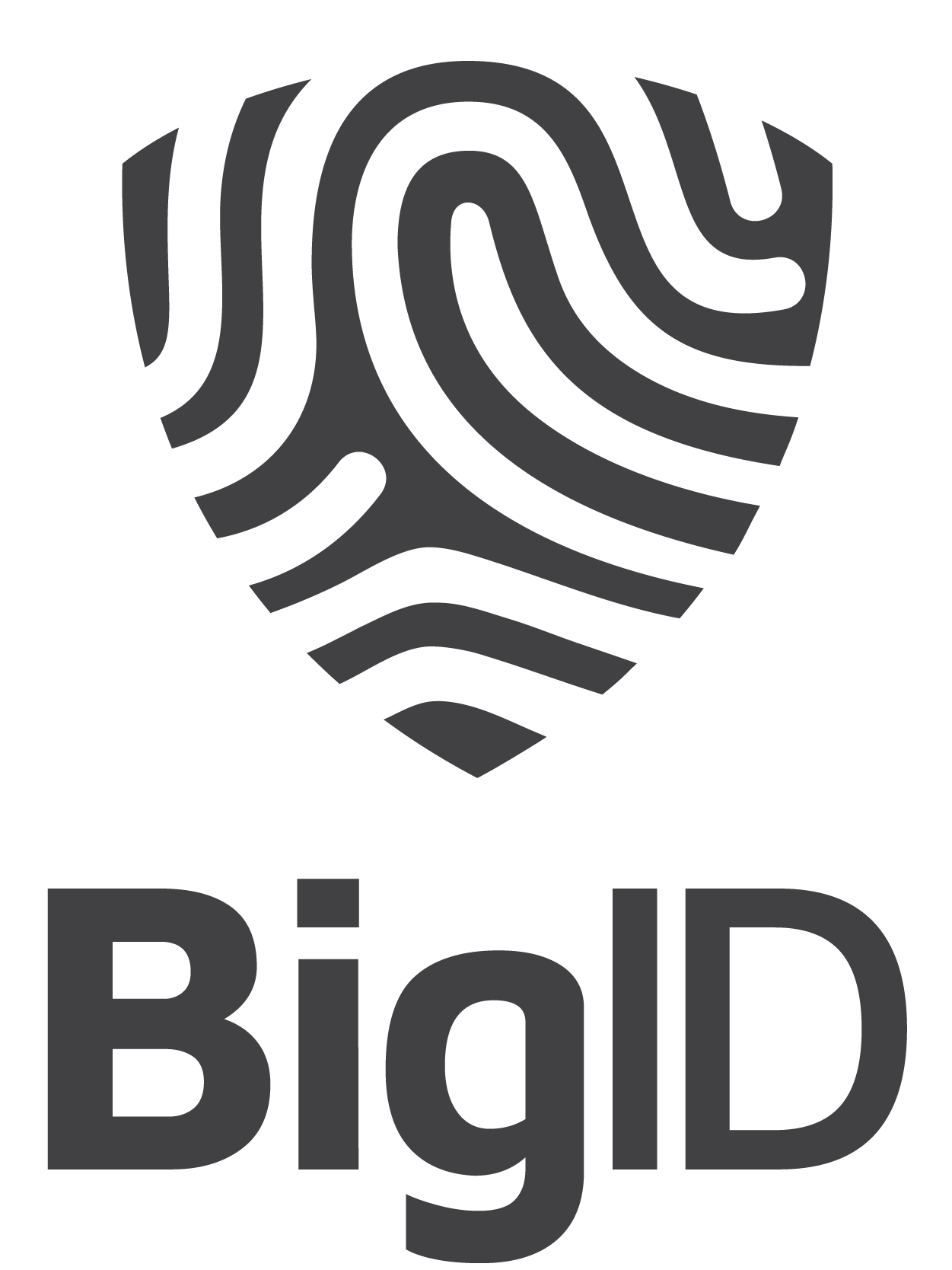 Logo of BigID Next