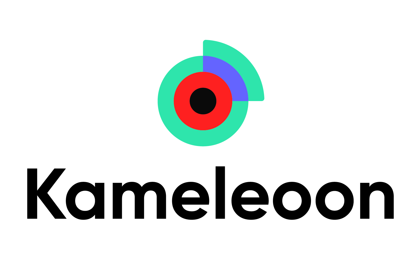 Logo of Kameleoon