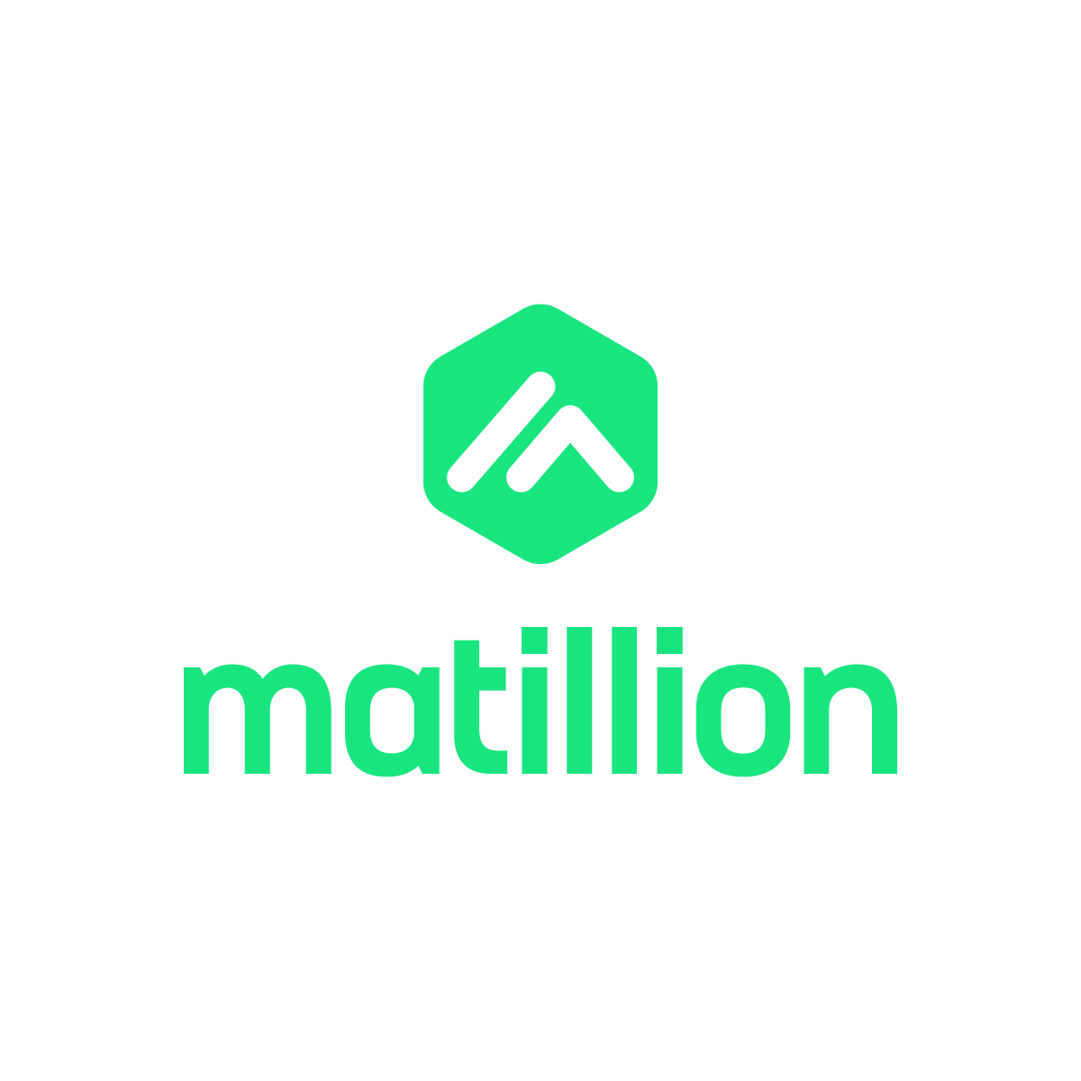 Logo of Matillion ETL