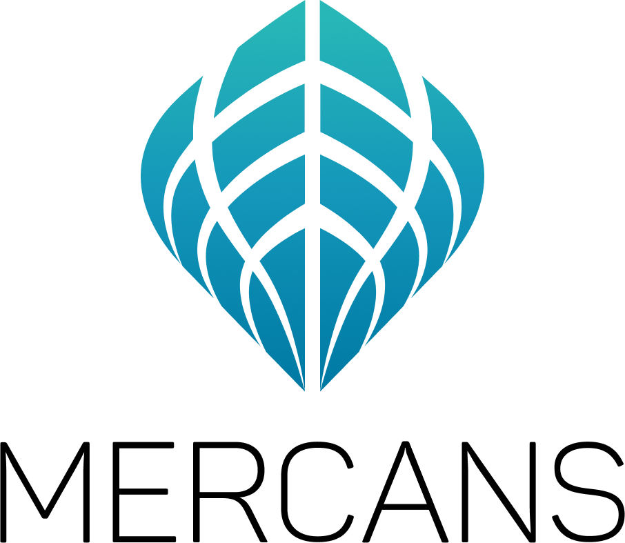 Logo of HR Blizz