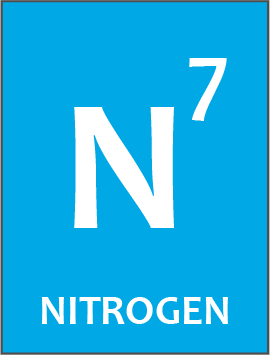 Logo of The Nitrogen Platform