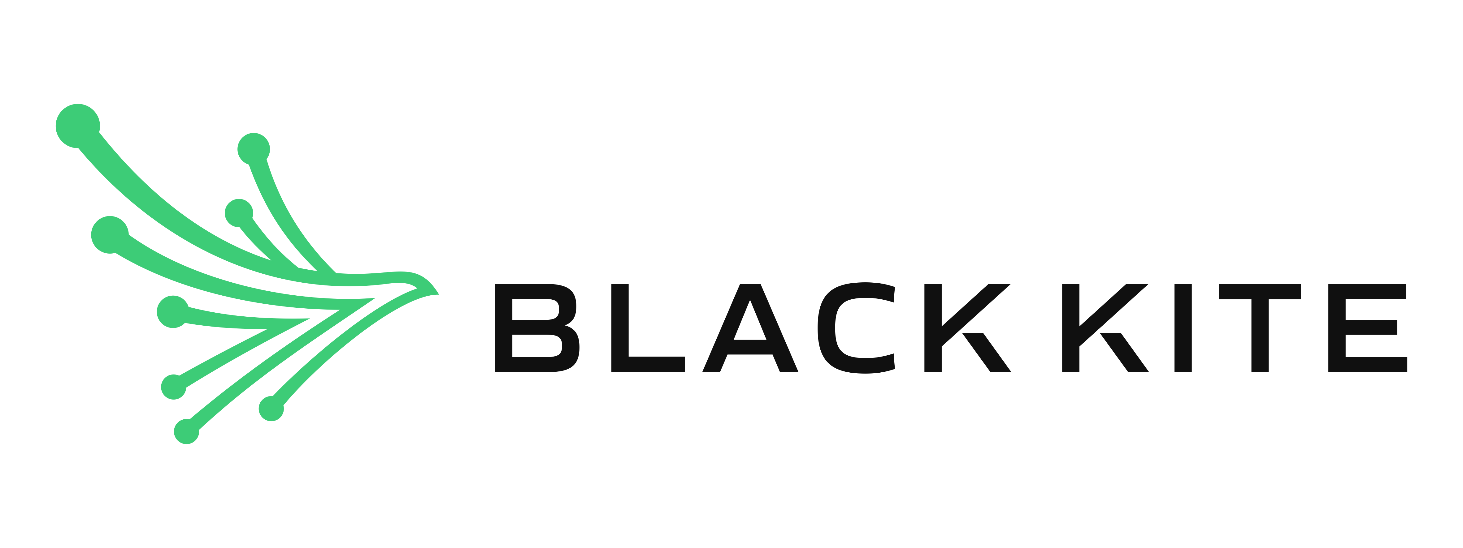 Logo of Black Kite Third Party Risk Intelligence Platform