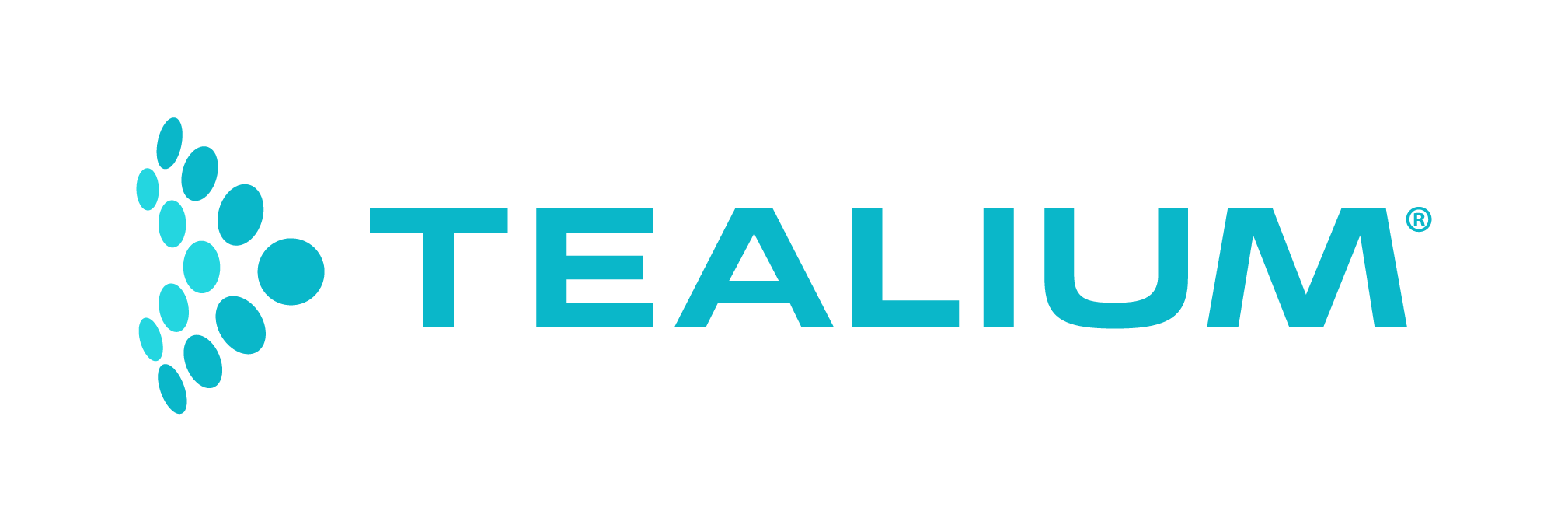 Logo of Tealium Customer Data Hub